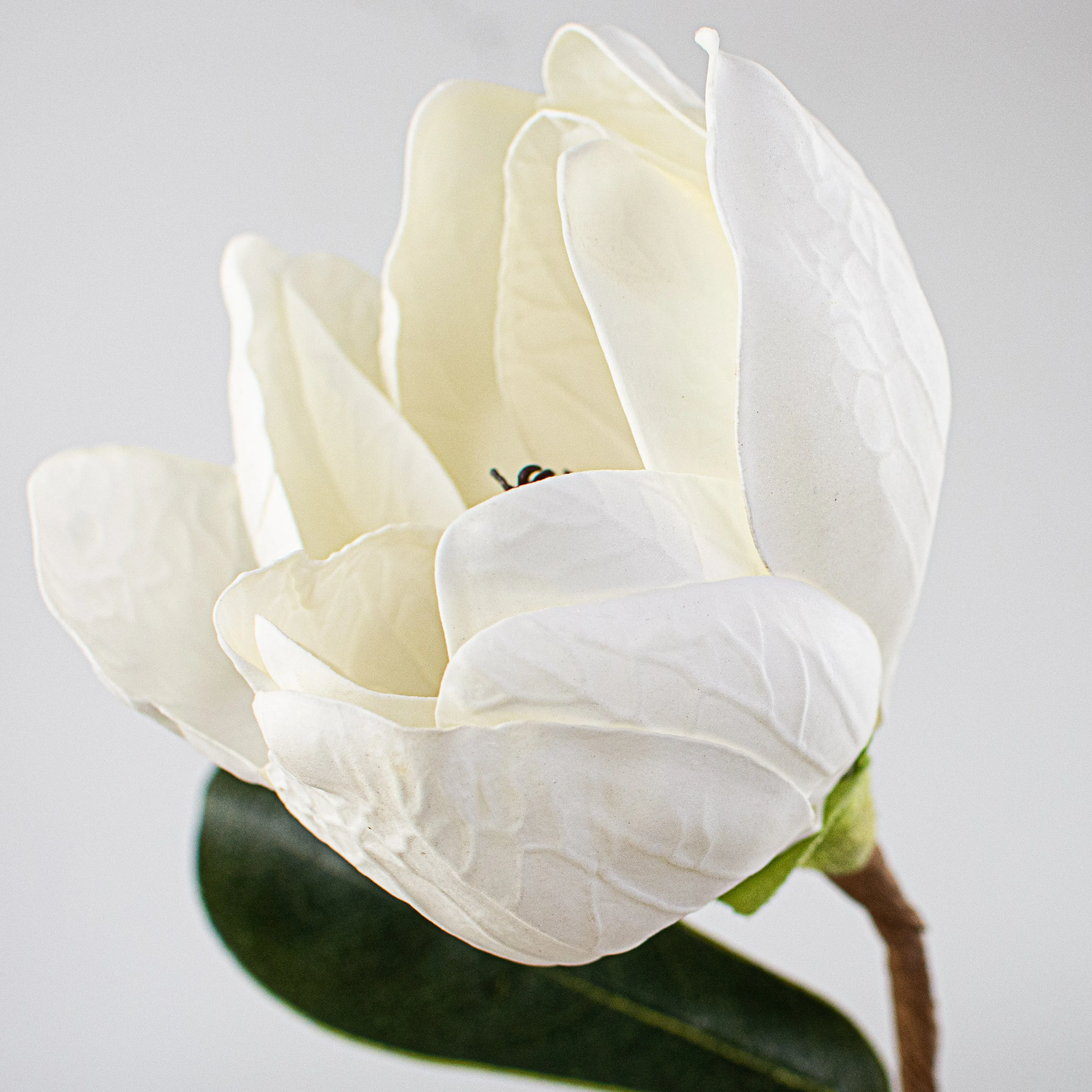 18" Soft Touch Magnolia Flower Stem With Leaves
