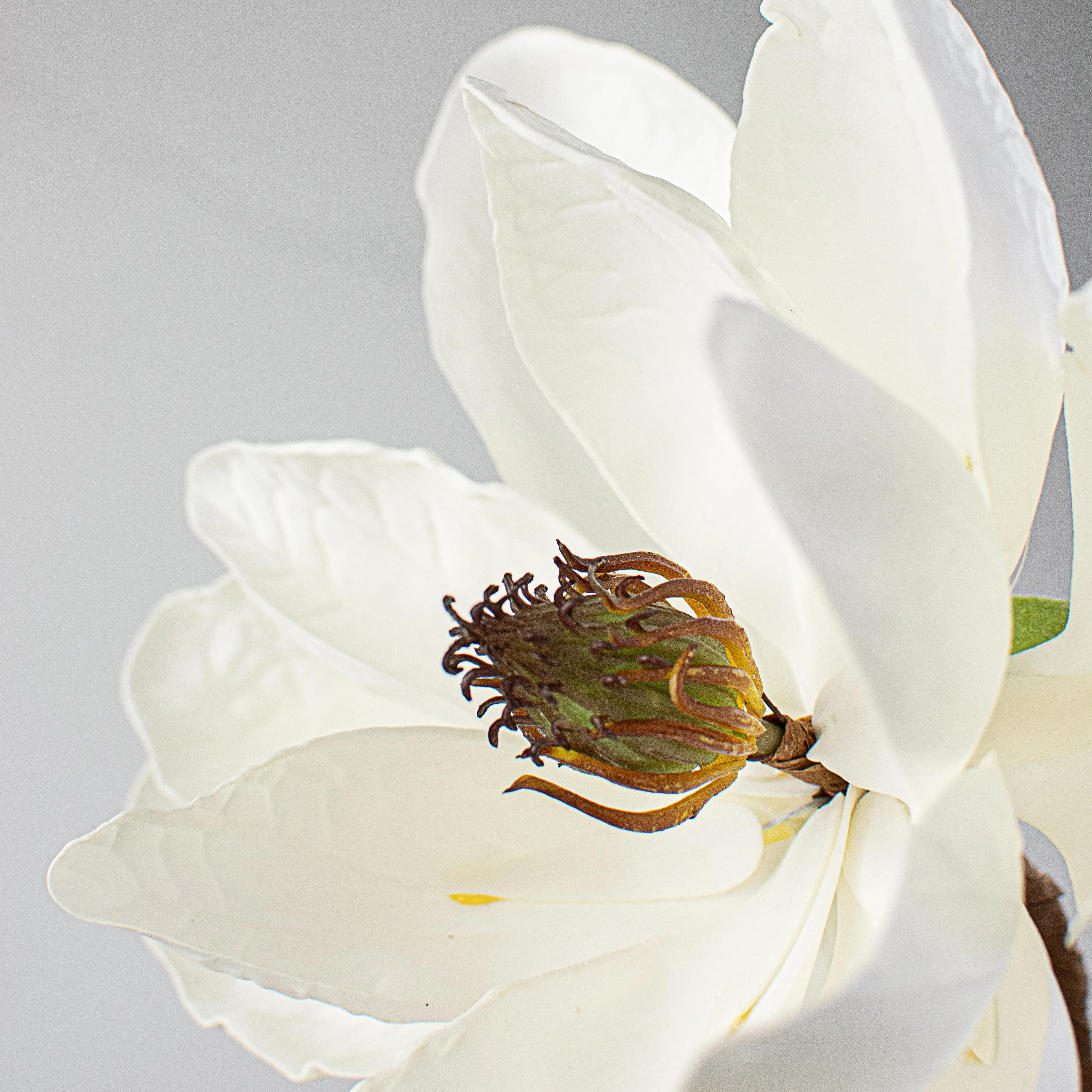 18" Soft Touch Magnolia Flower Stem With Leaves