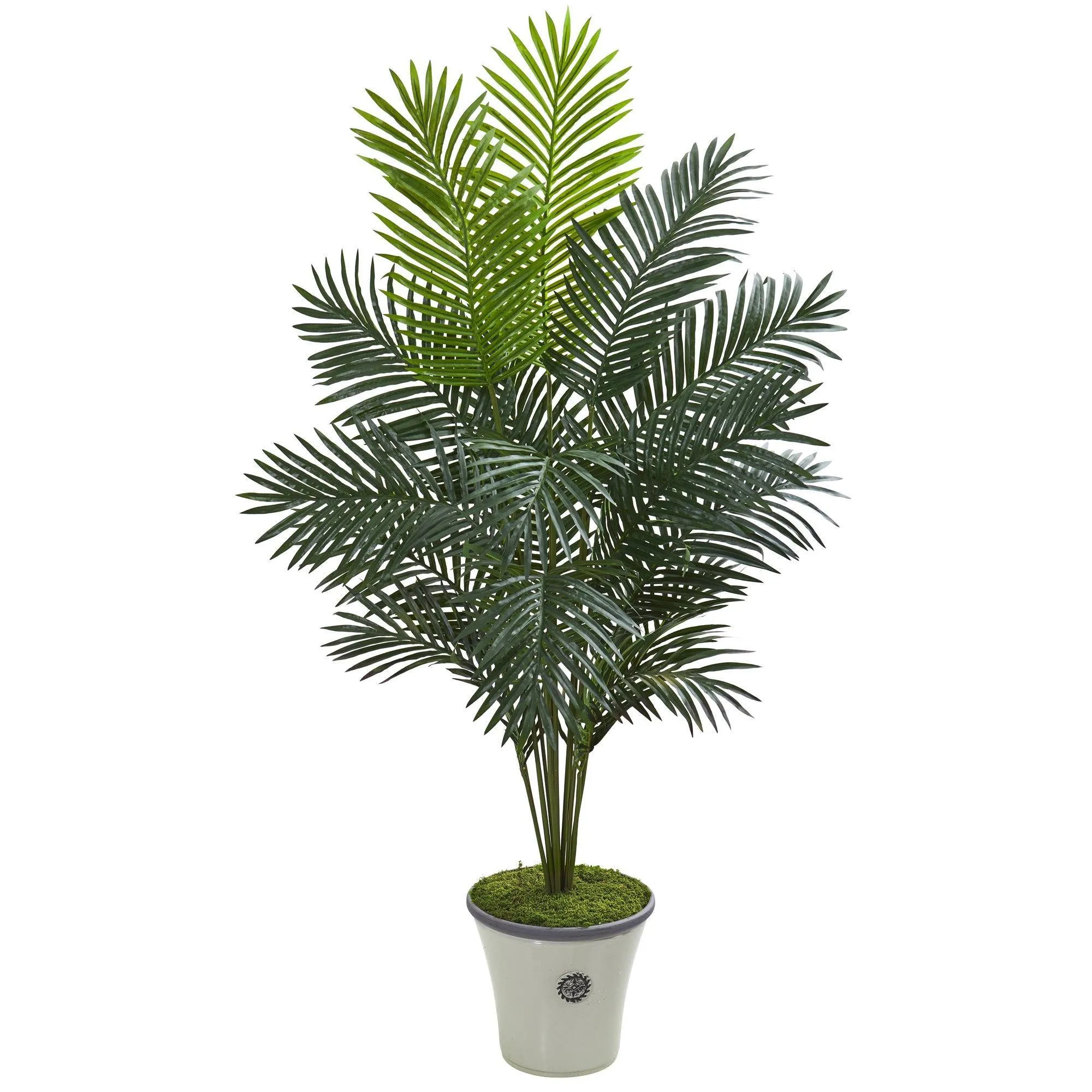65” Paradise Palm Artificial Plant in Decorative Planter