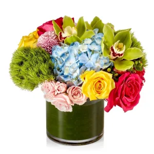Bright Grand Designer's Choice