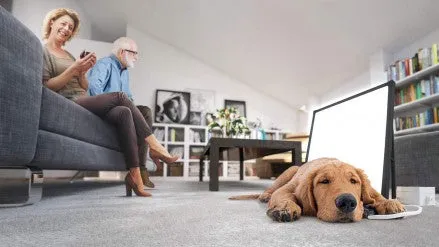 BuddyLux Group Light Therapy Paneld by Nature Bright