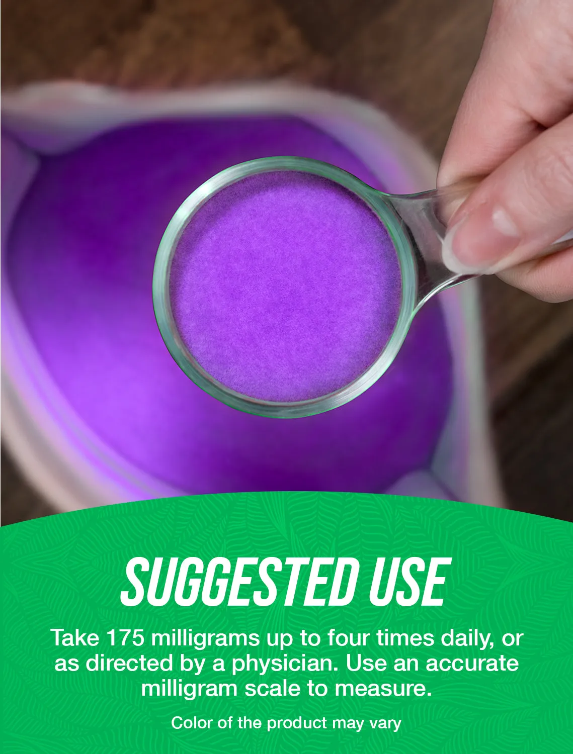 Elderberry Extract Powder