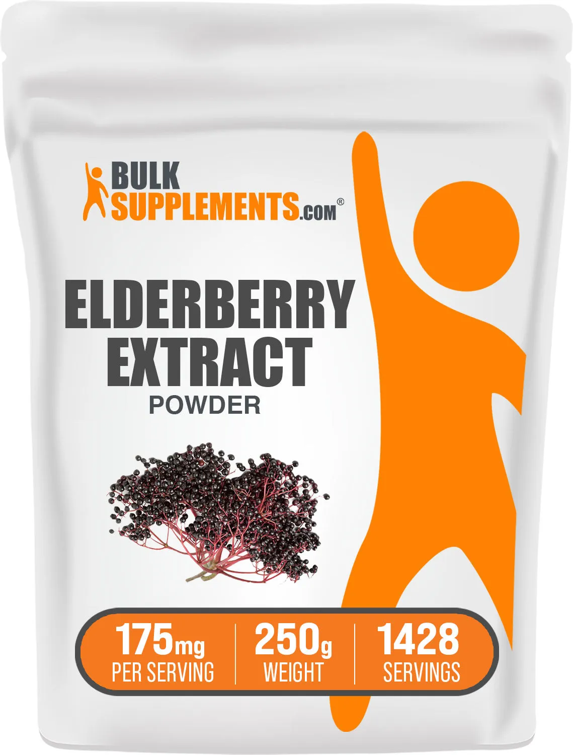 Elderberry Extract Powder