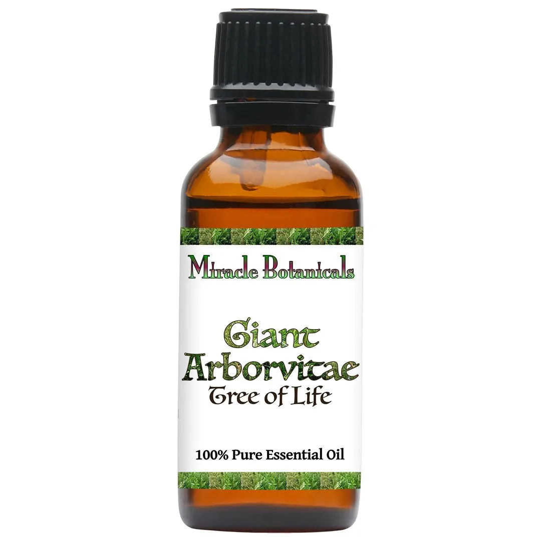 Giant Arborvitae Essential Oil (Thuja Plicata)