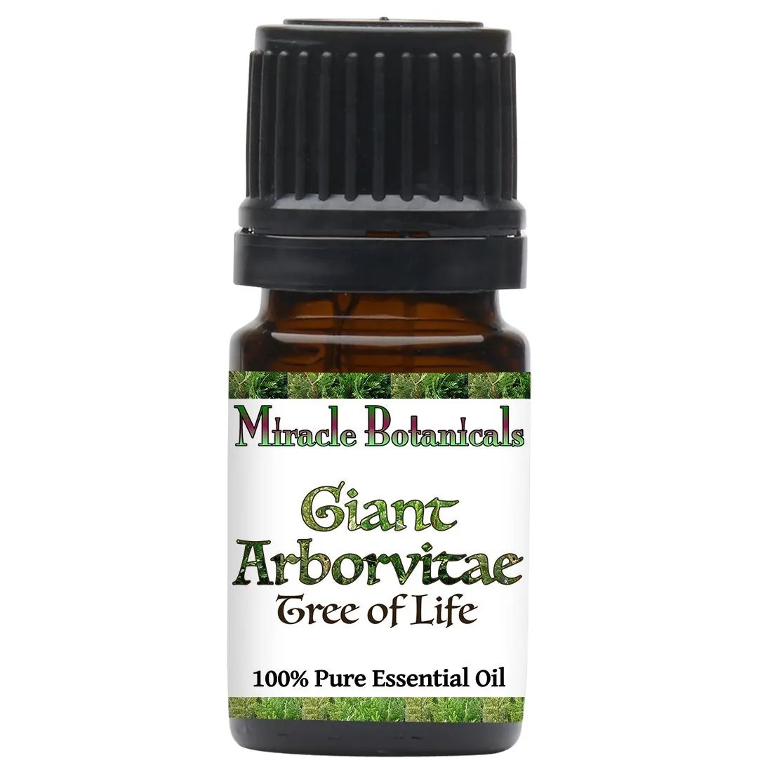 Giant Arborvitae Essential Oil (Thuja Plicata)