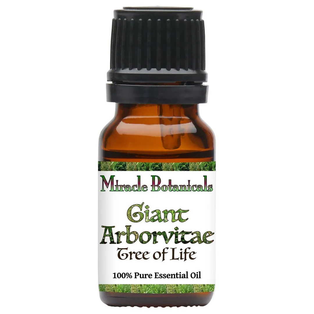 Giant Arborvitae Essential Oil (Thuja Plicata)
