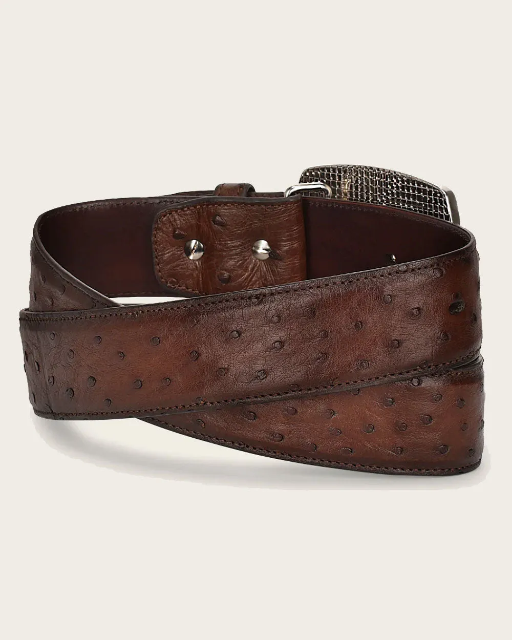Honey western exotic Belt