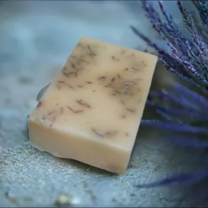 Lavender in Shea Butter Soap