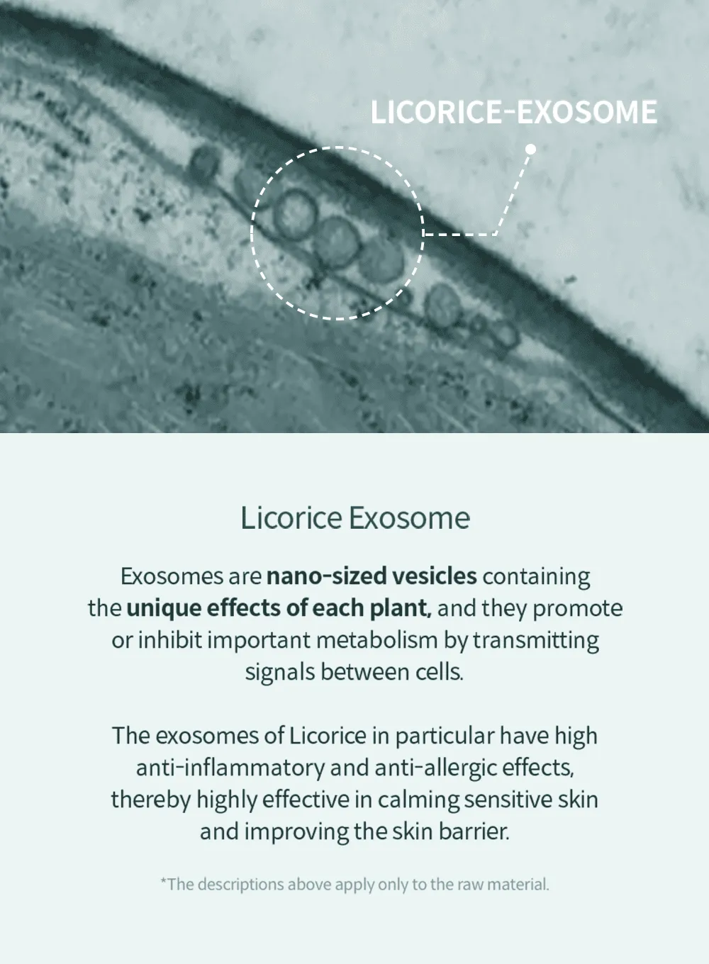 Licorice Soothing Ampoule (30ml)