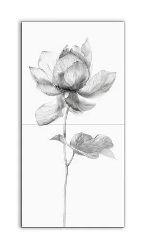 Monochrome Lotus Blossom: Detailed Botanical Art
