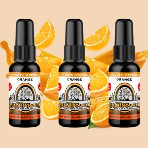 Orange Air Freshener Bundle (3 Pack)