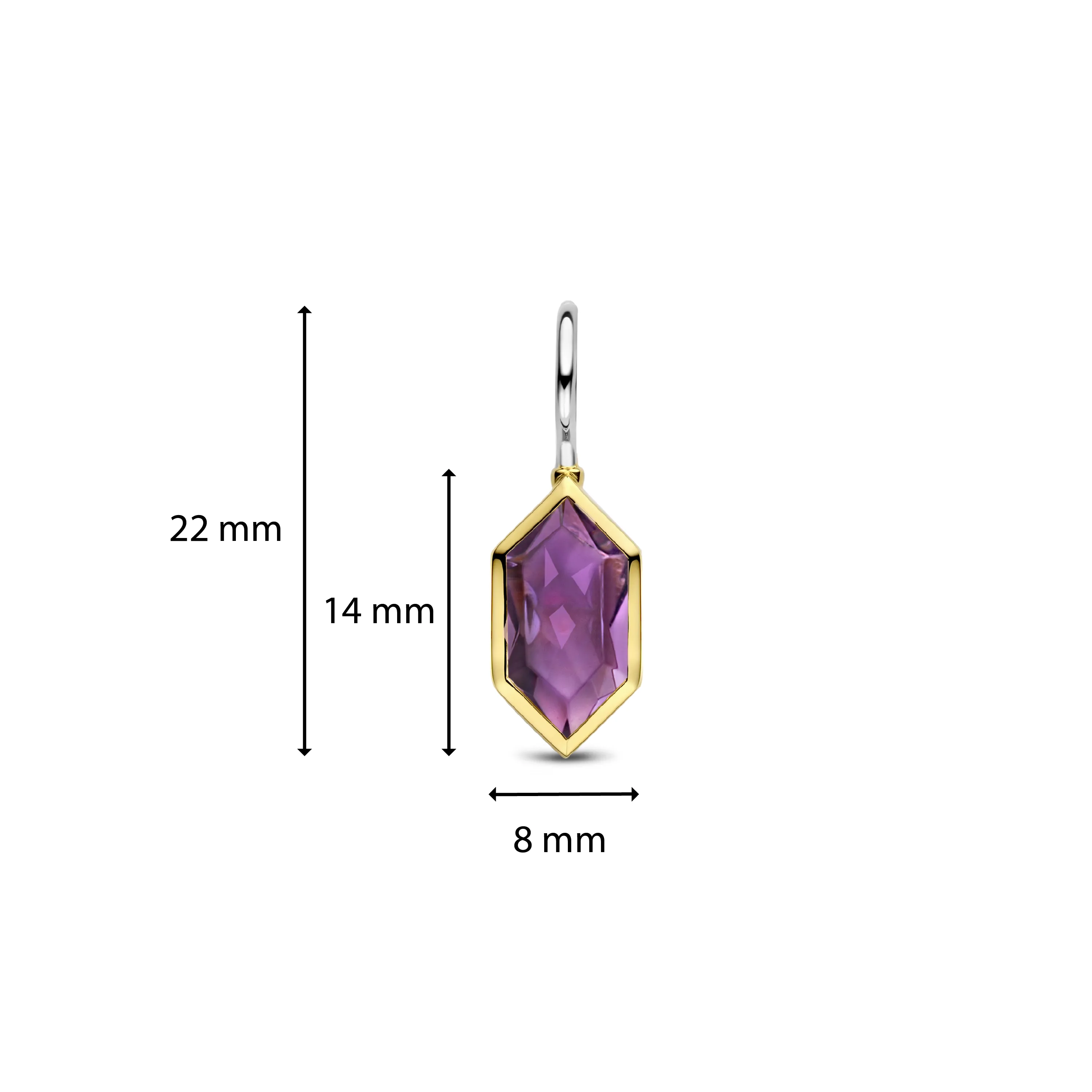 TI SENTO Ear Party 7945PU_H